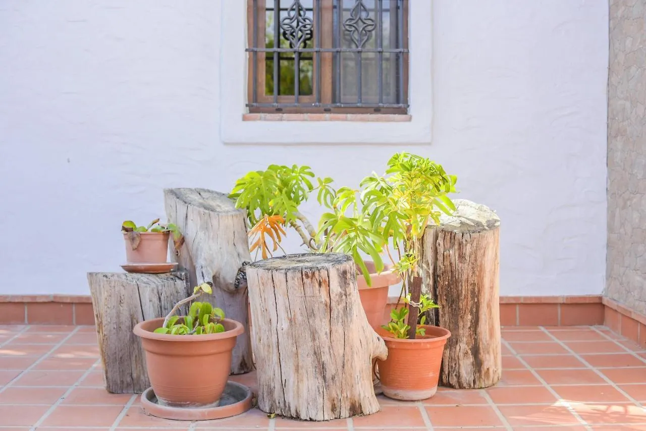 El Castano Apartment Barbate Spain